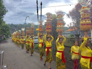 Culture Bali Tour-http://www.balivacationdriver.com/wp-content/uploads/2015/08/Mepeed.jpg